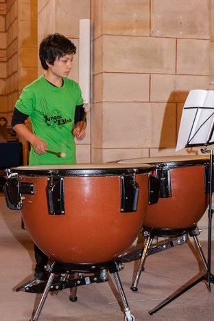 20120616_2628_Stier.jpg